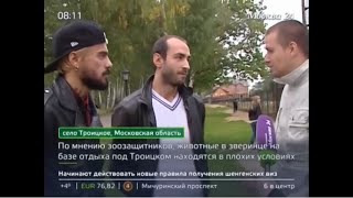 Зоозащитники опасаются за здоровье животных в Троицком зоопарке - 12.09.2015