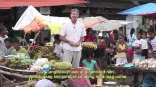 preview picture of video 'Controlling dieback in Jackfruit and Durian: Southern Philippines'