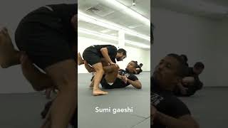Mastering Three Beginner-Friendly Butterfly Guard Sweeps for All