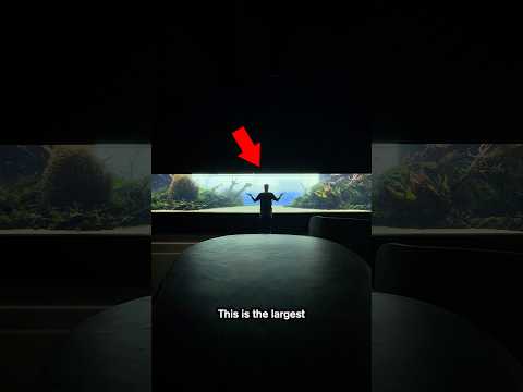 The World's Most Beautiful Aquariums