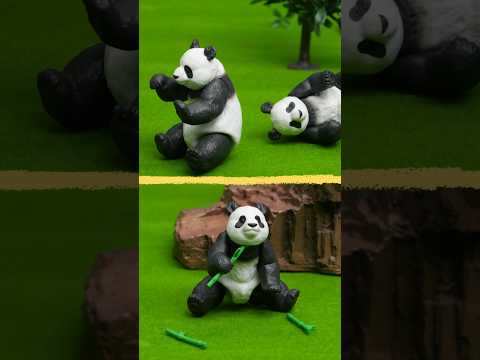【アニア】竹が大好きな白黒のんびり動物といえば？ #toys #パンダ #ジャイアントパンダ #panda #giantpanda #アニア研究所 #Shorts