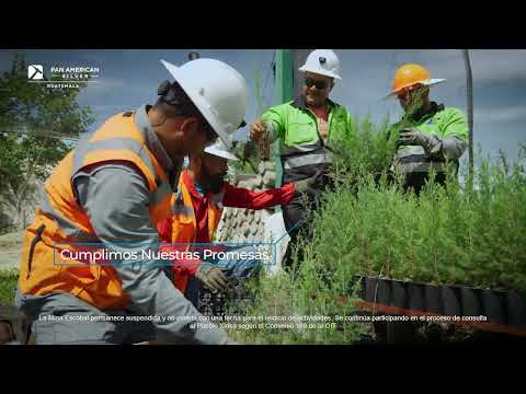 Conoce quiénes somos en Escobal