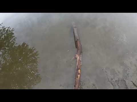 Proboat UL-19 / 92 mph on 6s, World’s fastest