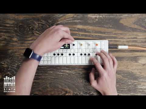 Teenage Engineering OP-1 Field Portable Synthesizer Workstation Bild 3