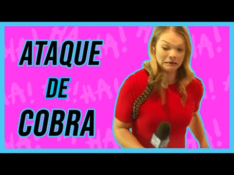 Erros, Gafes, Falhas do Jornalismo Ao Vivo na TV - 01 - Melhores de 2020 | Furagato 5000