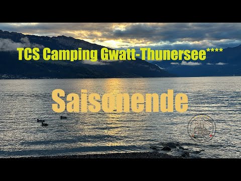 Herbstliches Saisonende im TCS Camping Gwatt-Thunersee | Bärner Bulli