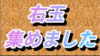 角換わり右玉集！
