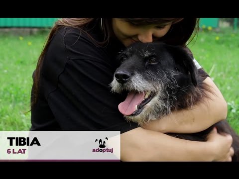 Tibia biega za tęczowym mostem :(