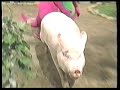 Barney The Dinosaur Outtakes Runaway Pig Sing And Dance With Barney VHS
