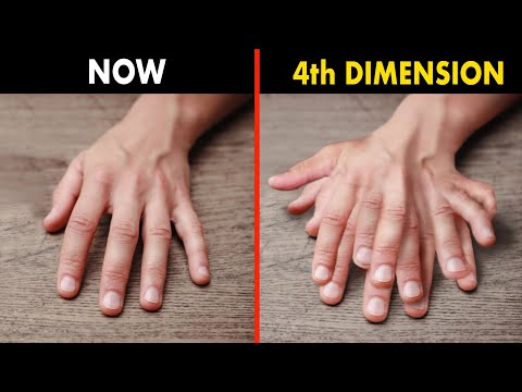 What Will You See in 4th Dimensional Space?