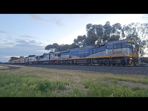 7MA9 SCT down "Dark Ghost #1" (CF SCT CSR, 89P), Laverton to Penfield, 0615, 30/11/25, Horsham VIC