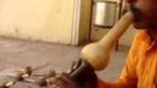 Crazy Sights and Sounds of Rajasthan, India