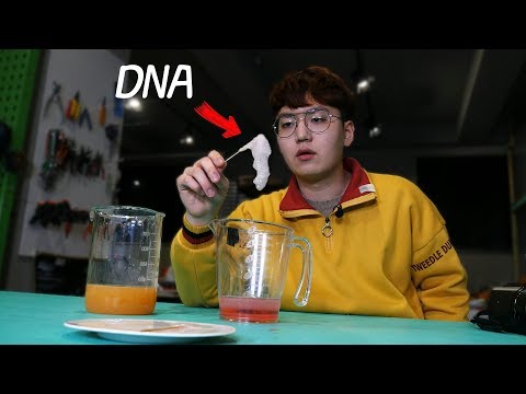 , title : 'DNA는 과연 무슨 맛일까?ㅋㅋㅋㅋ한번 먹어봤습니다ㅋㅋㅋㅋ'