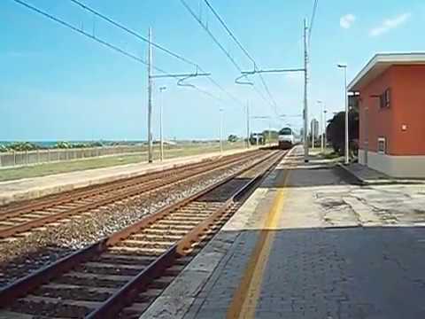 E444.010 Tartaruga    transita Potenza Picena