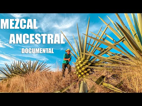 OAXACA Y SU MEZCAL ANCESTRAL | Documento