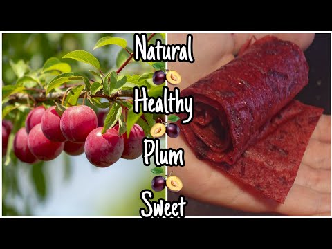 How To Make Plum Fruit Leather/Fruit roll-ups 💜 Natural Healthy Sweets Made From Fruit 💚