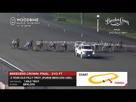 2022 Breeders Crown - 2YO Filly Trot - Final