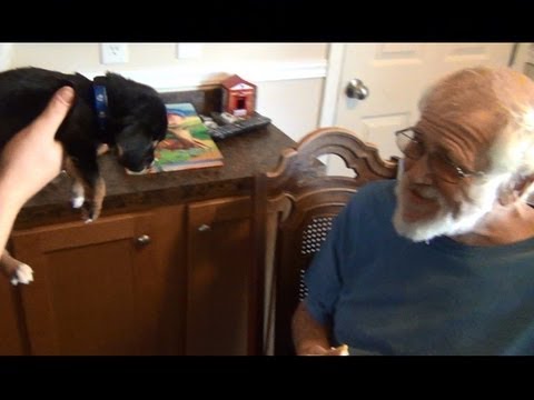 Angry Grandpa's New Puppy!