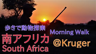 南アフリカ　「クルーガーでモーニング・ウォーク」　South Africa 「Morning Walk @Kruger」