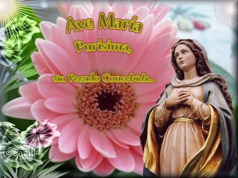 download lagu mp3 mp4 Porque Te Amo Maria, download lagu Porque Te Amo Maria gratis, unduh video klip Porque Te Amo Maria