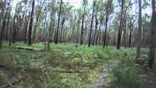 preview picture of video 'Nowa Nowa MTB Park - Uphill Track - Trail Number 1'