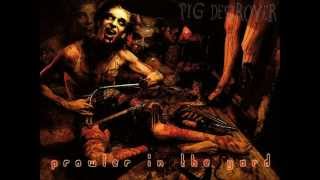 Pig Destroyer Piss Angel Vocal Cover