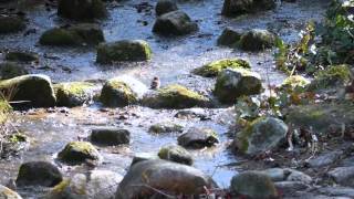 Victoria Park, Berlin