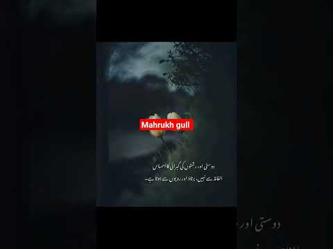 friendship and relationship #youtubeshorts #ytshort #video #viral #mahrukh #mahrukh #quotes