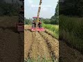 Traktor Rotary Lijer Untuk Lahan Jagung Petanimilenial Petani Alsintan