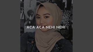 Download lagu Aca Aca Nehi Nehi mp3 Download lagu Aca Aca Nehi Nehi mp3