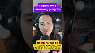 new version ng nasaan ang pangako ang ganda/composed by papajay