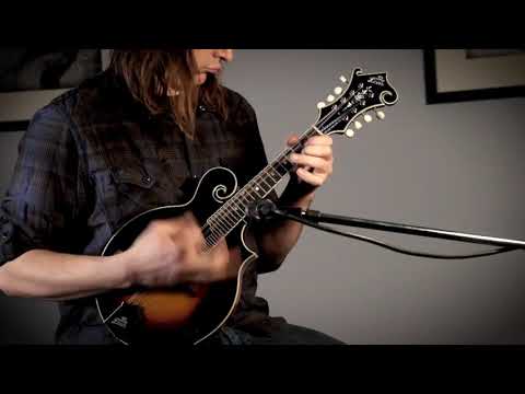 The Loar LM-600E Professional F-Style Mandolin / Fishman Pickup image 7