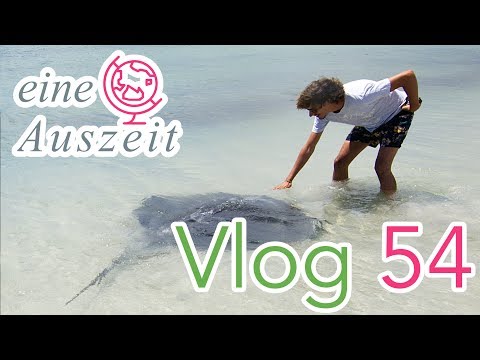 🇦🇺 😱 KRASS was hier am Strand schwimmt - Hamelin Bay Australien - Weltreise Vlog 54