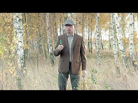 Wabik na bażanty i lisy PC01 gunbroker pheasant call