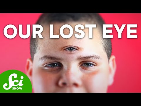 進化が奪ったアビリティ (Abilities Evolution Took From Us)