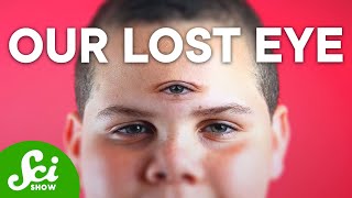 Abilities Evolution Took From Us