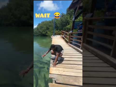 Teen line ko highway nikal !! #shorts #maur #funny