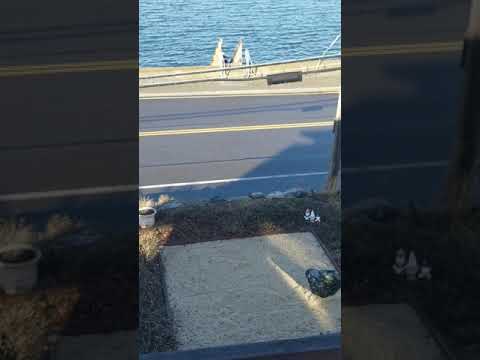 Go to the Cold!!!  Squantum, MA