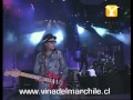 Creedence Clearwater Revisited, Molina, Festival de Viña 1999