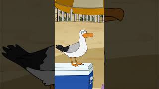 Peter feeds the seagull. Family Guy Season 19 Episode 4.