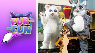 DROWNING IN CATS - Fur Fun Gameplay