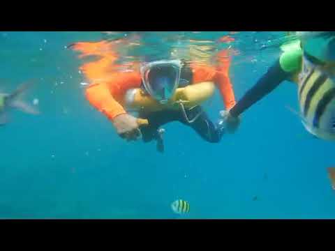 #snorkeling #andaman #beachvibes #portblair #northwayisland #couplegoals #enjoy the trip #fish