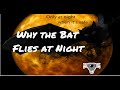 Why the Bat Flies at Night | Tales 3 | Folktale | Stories They Told Us