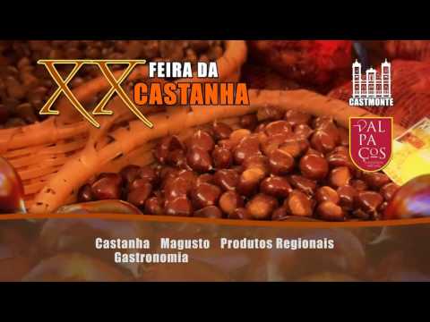 Spot Promocional da XX Feira da Castanha - Castmonte 2016