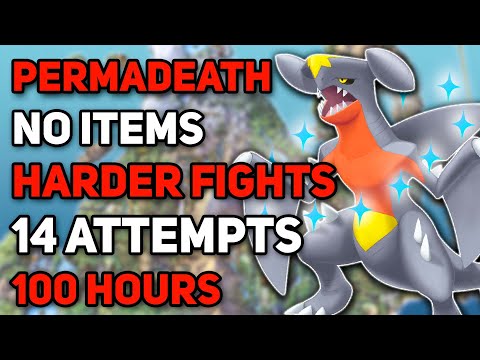 How I FINALLY beat the Renegade Platinum Hardcore Nuzlocke