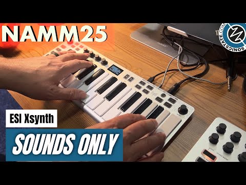ESI Xsynth - Synthesizer image 6