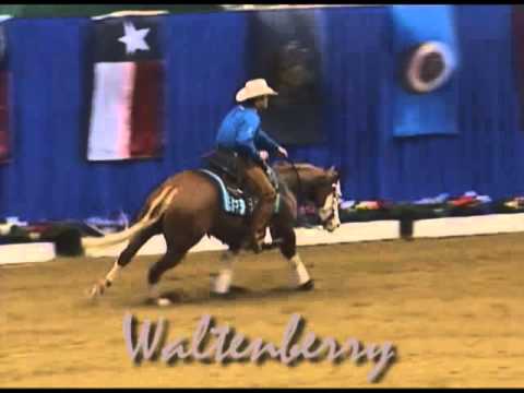 AMERICASNEXTGUNMDODEL - NRBC 2013