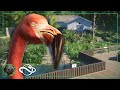 Creating A New AMERICAN FLAMINGO Enclosure In OakWood Zoo Planet Zoo