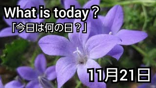 【What is today?】今日は何の日?(1121)|YouTube掲示板《ヒントストック》