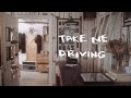 Adrian Crowley - Take Me Driving